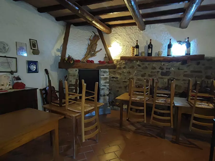 Immagine 59 di Azienda agricola in vendita  a Pontremoli