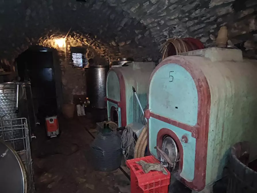 Immagine 24 di Azienda agricola in vendita  a Pontremoli