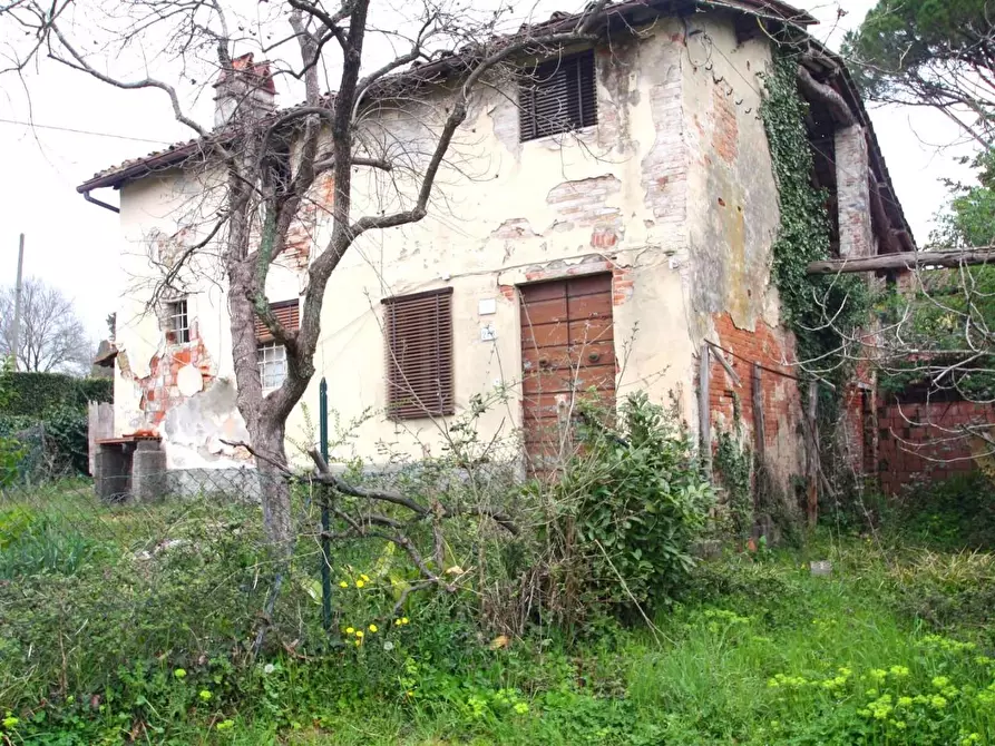 Immagine 14 di Rustico / casale in vendita  a Lucca