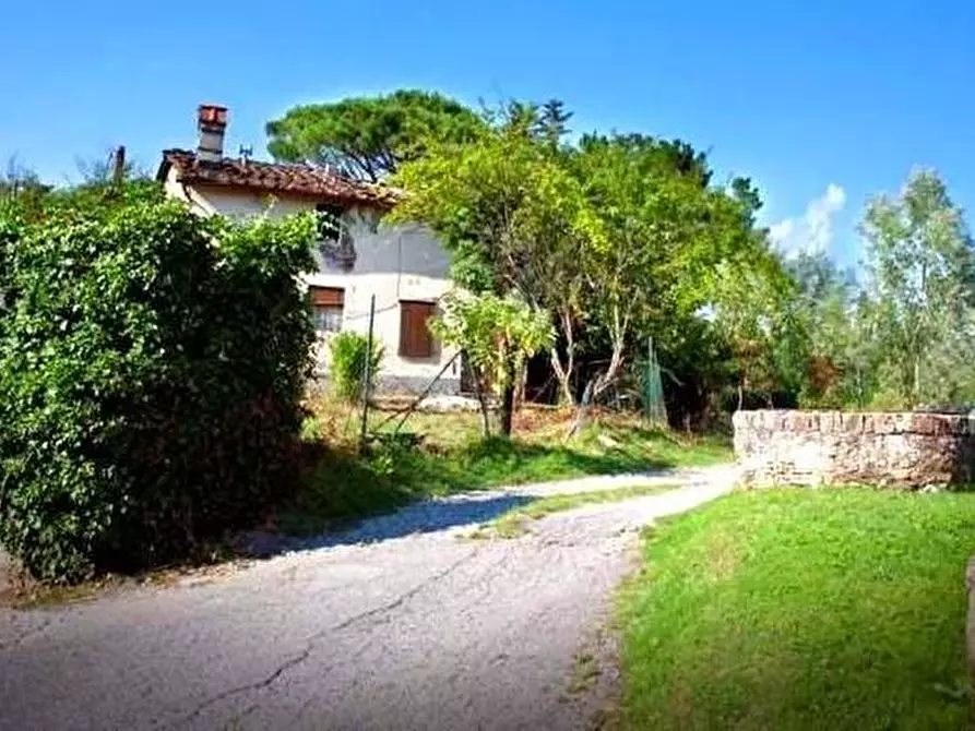 Immagine 6 di Rustico / casale in vendita  a Lucca