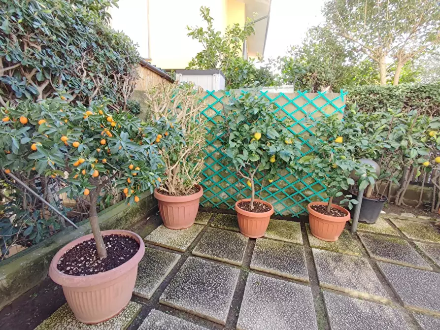 Immagine 28 di Villetta a schiera in vendita  a Viareggio