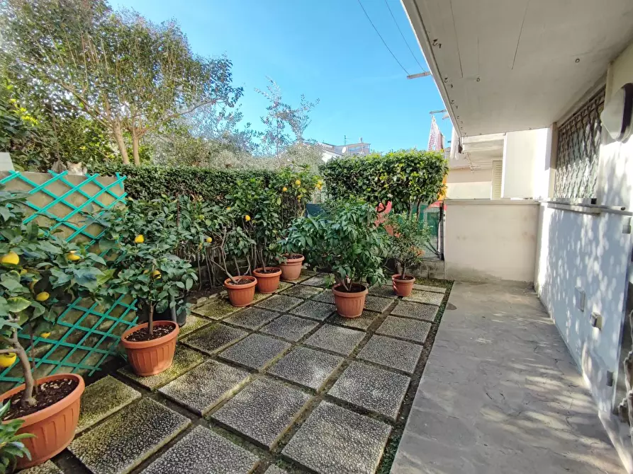 Immagine 27 di Villetta a schiera in vendita  a Viareggio