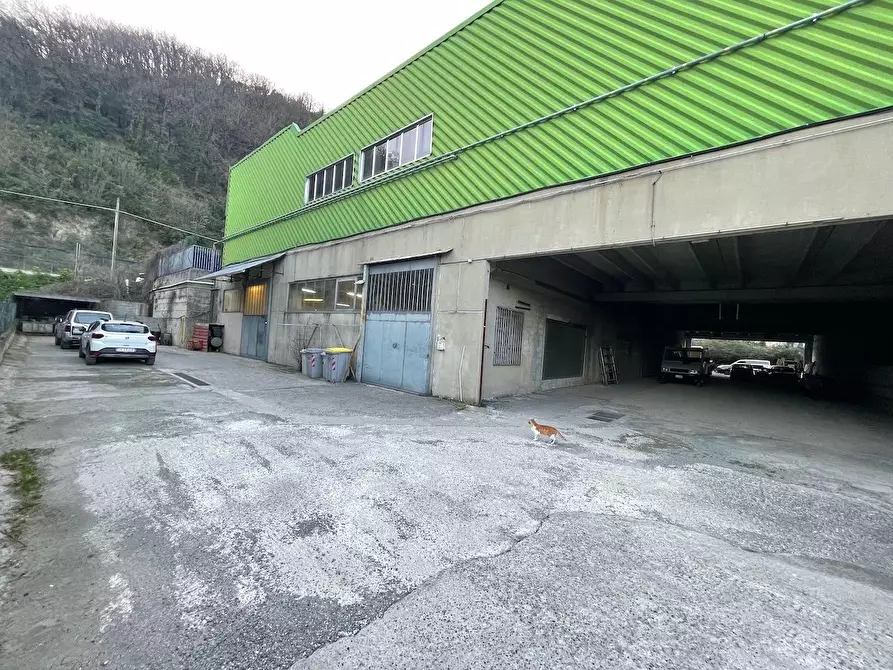 Immagine 2 di Capannone industriale in vendita  a Vezzano Ligure