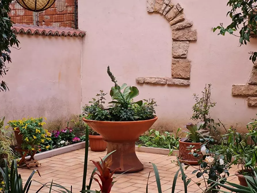 Immagine 38 di Terratetto in vendita  a Piombino