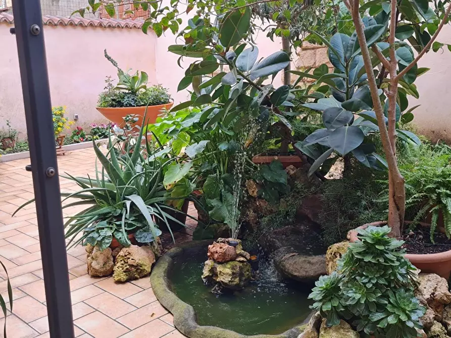 Immagine 39 di Terratetto in vendita  a Piombino