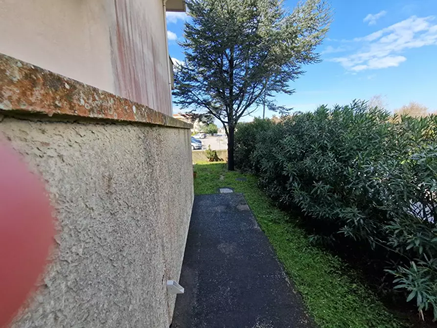 Immagine 6 di Appartamento in affitto  a Rosignano Marittimo