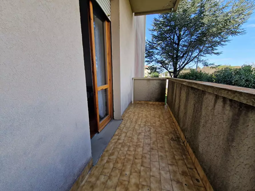 Immagine 5 di Appartamento in affitto  a Rosignano Marittimo