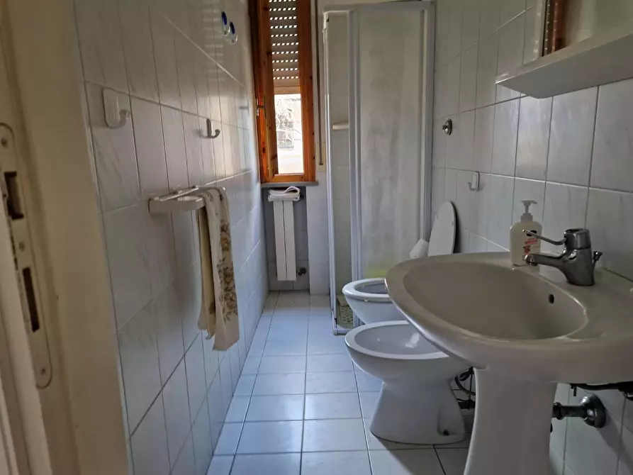 Immagine 10 di Appartamento in affitto  a Rosignano Marittimo