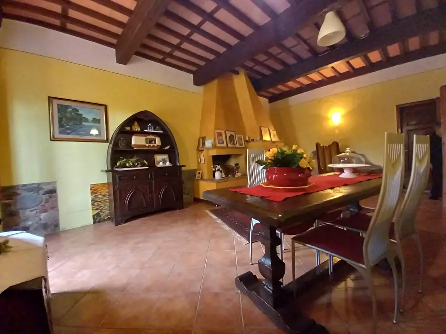 Immagine 6 di Casa colonica in vendita  a Capannori
