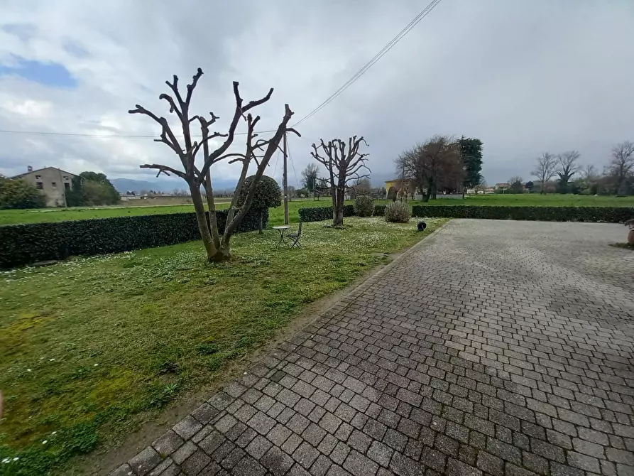 Immagine 18 di Casa colonica in vendita  a Capannori