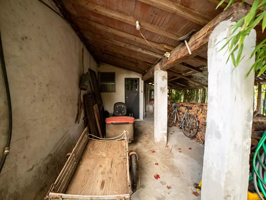 Immagine 41 di Villa in vendita  a Capannori