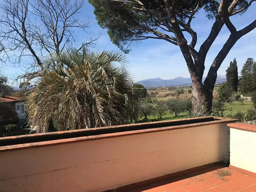 Immagine 18 di Villa in vendita  a Capannori