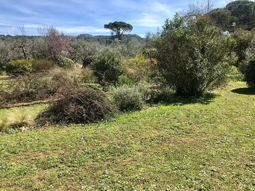 Immagine 37 di Villa in vendita  a Capannori