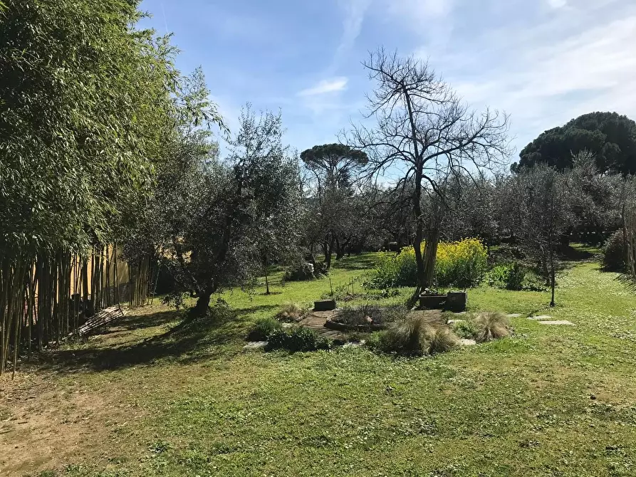 Immagine 30 di Villa in vendita  a Capannori