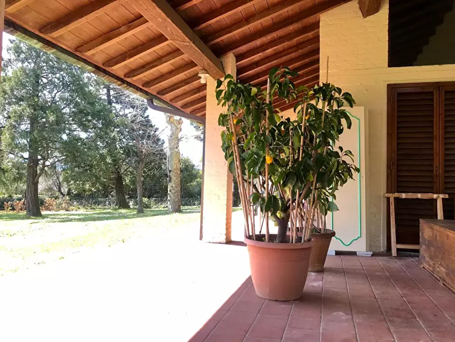 Immagine 39 di Villa in vendita  a Capannori