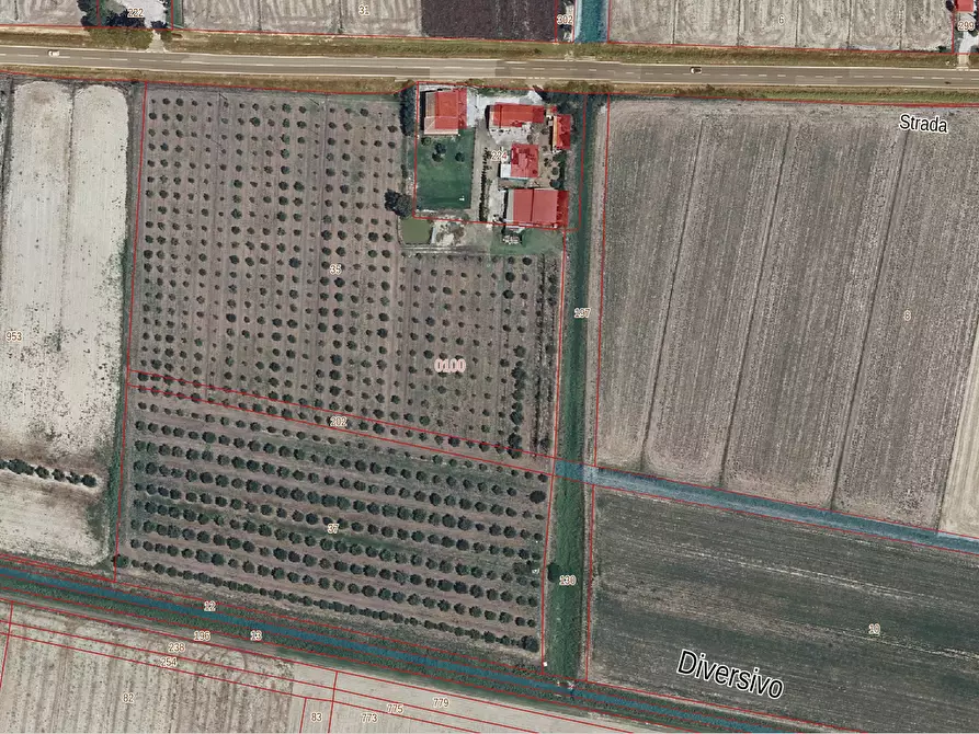 Immagine 5 di Capannone industriale in vendita  a Grosseto