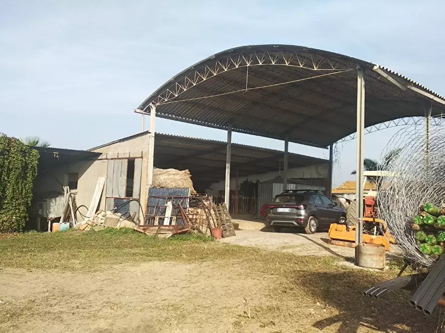 Immagine 1 di Capannone industriale in vendita  a Grosseto