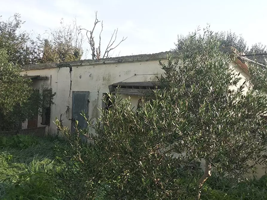 Immagine 4 di Capannone industriale in vendita  a Grosseto