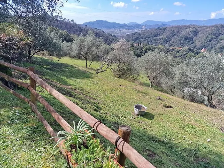 Immagine 20 di Villa in vendita  a Sarzana