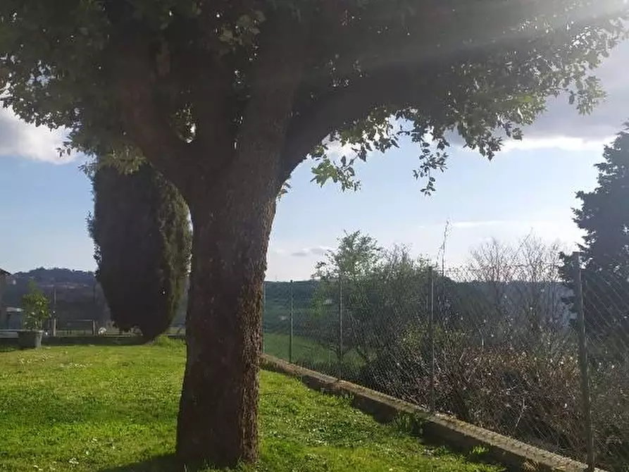 Immagine 34 di Villa in vendita  a Montopoli In Val D'arno