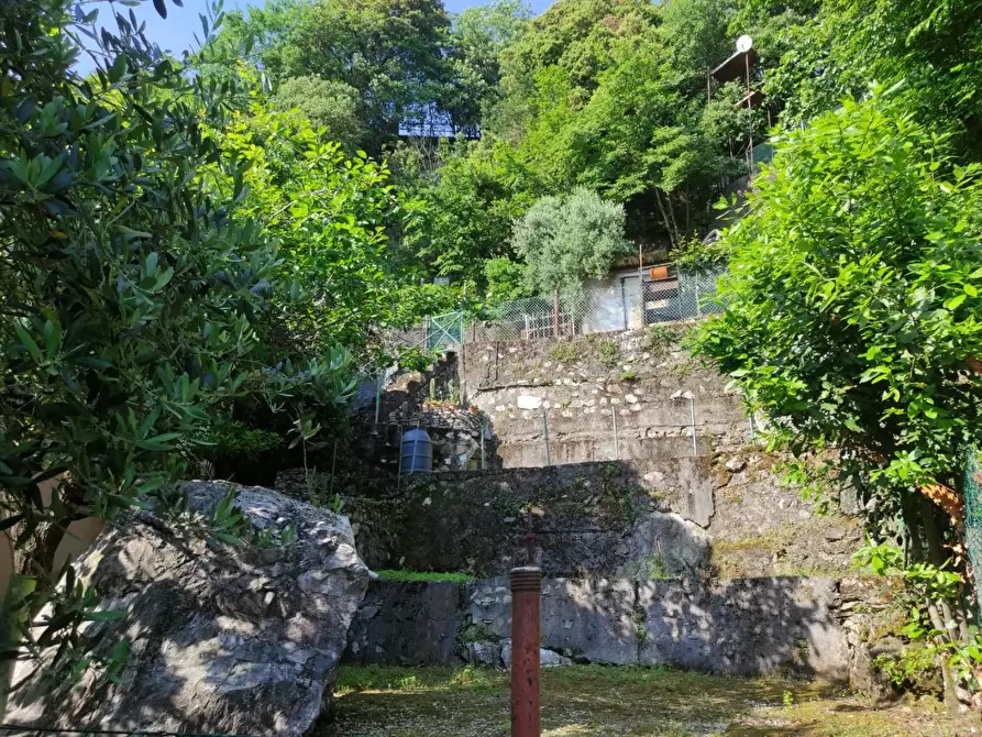 Immagine 17 di Casa indipendente in vendita  a Massa