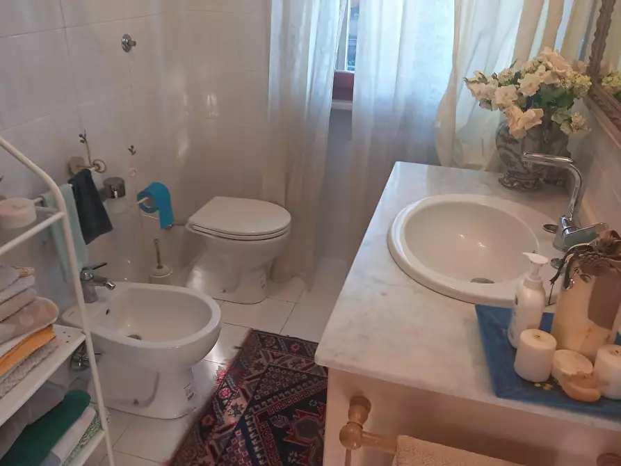 Immagine 26 di Appartamento in vendita  a Rosignano Marittimo