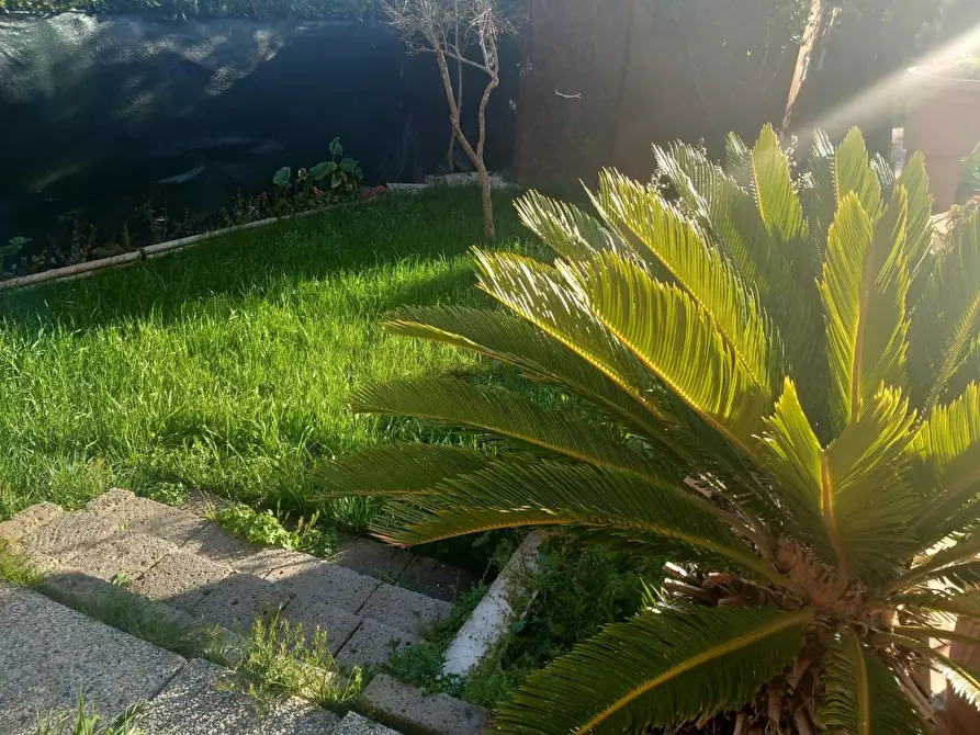 Immagine 2 di Appartamento in vendita  a Rosignano Marittimo