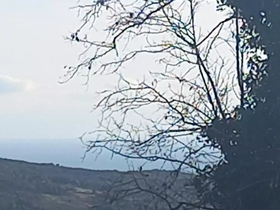 Immagine 3 di Appartamento in vendita  a Rosignano Marittimo