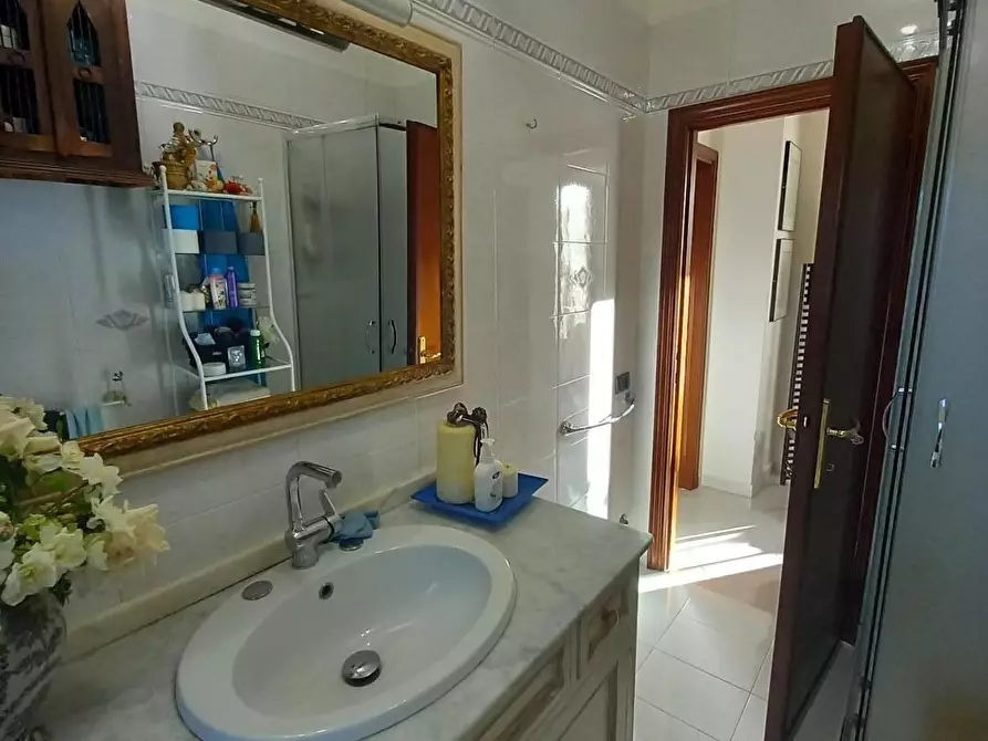 Immagine 30 di Appartamento in vendita  a Rosignano Marittimo