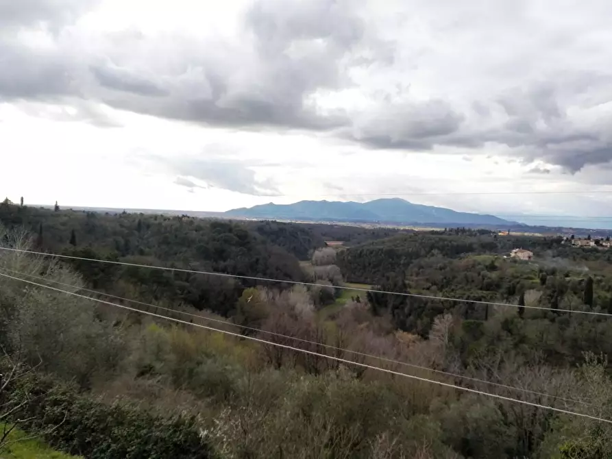 Immagine 3 di Casa indipendente in vendita  a Montopoli In Val D'arno