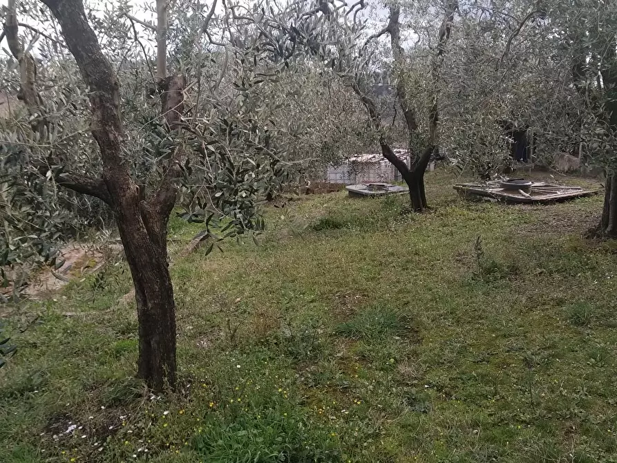 Immagine 9 di Casa indipendente in vendita  a Montopoli In Val D'arno