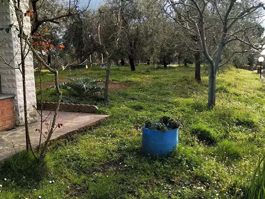 Immagine 8 di Casa indipendente in vendita  a Montopoli In Val D'arno