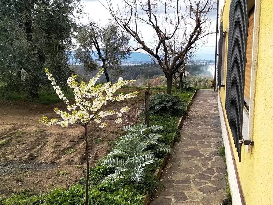 Immagine 7 di Casa indipendente in vendita  a Montopoli In Val D'arno