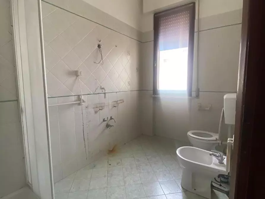 Immagine 9 di Appartamento in vendita  a Vecchiano