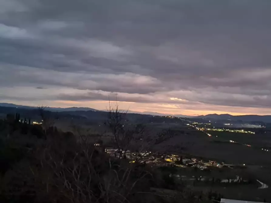 Immagine 1 di Terratetto in vendita  a Palaia