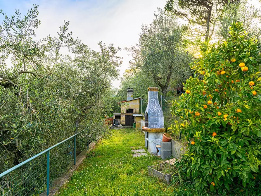 Immagine 1 di Terratetto in vendita  a Palaia