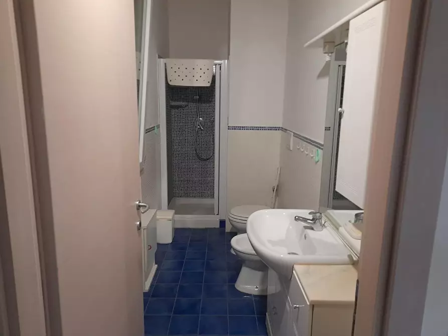 Immagine 7 di Appartamento in vendita  a Bibbona