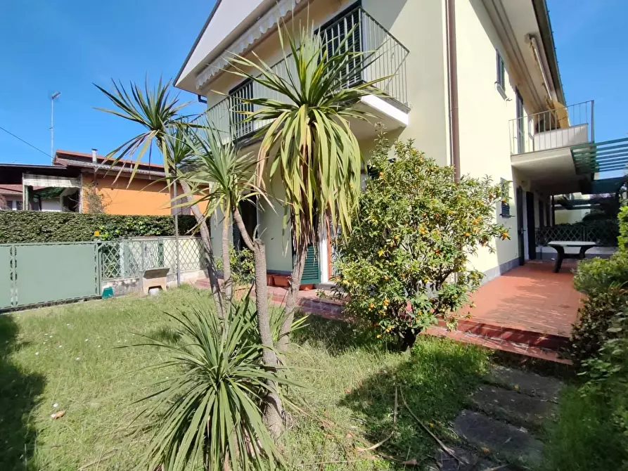 Immagine 2 di Appartamento in affitto  a Massa