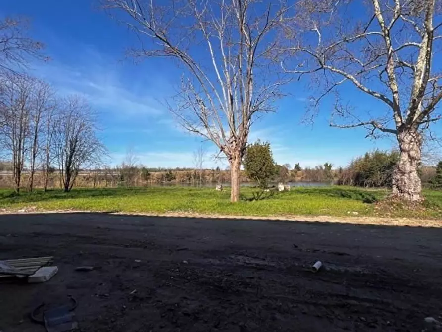 Immagine 5 di Appartamento in vendita  a Pisa