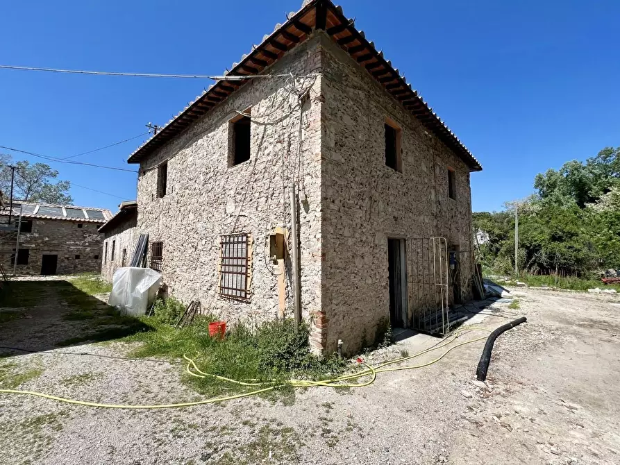 Immagine 4 di Appartamento in vendita  a Pisa