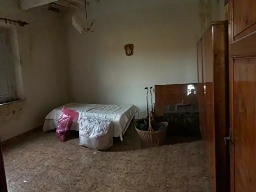 Immagine 9 di Terratetto in vendita  a Vecchiano