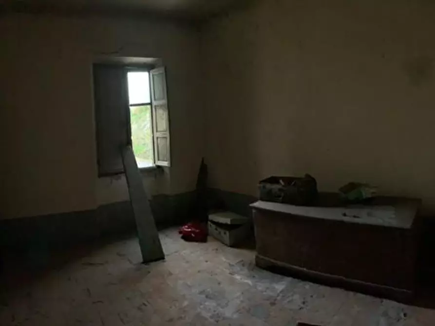 Immagine 11 di Terratetto in vendita  a Vecchiano
