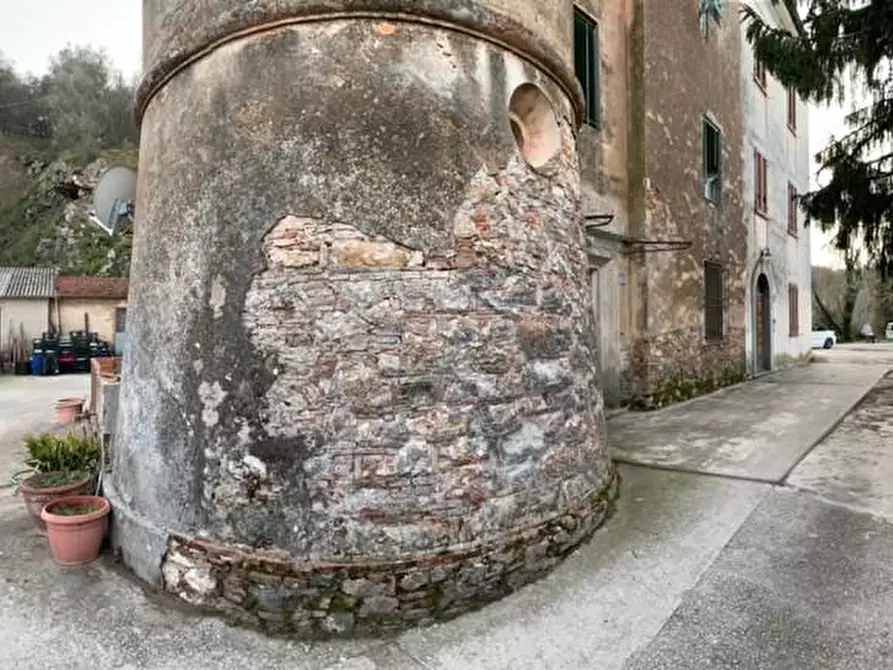 Immagine 16 di Terratetto in vendita  a Vecchiano