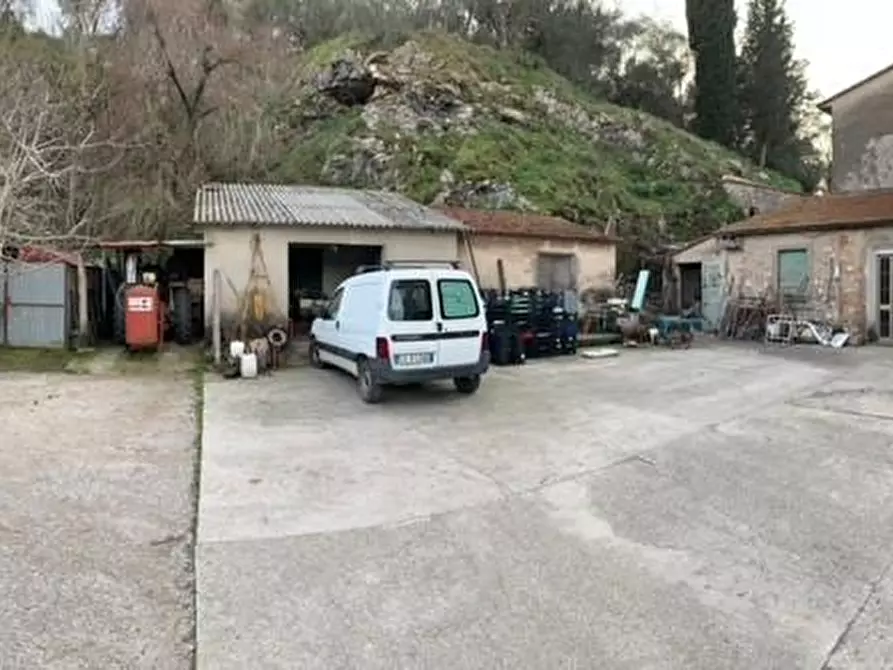 Immagine 14 di Terratetto in vendita  a Vecchiano