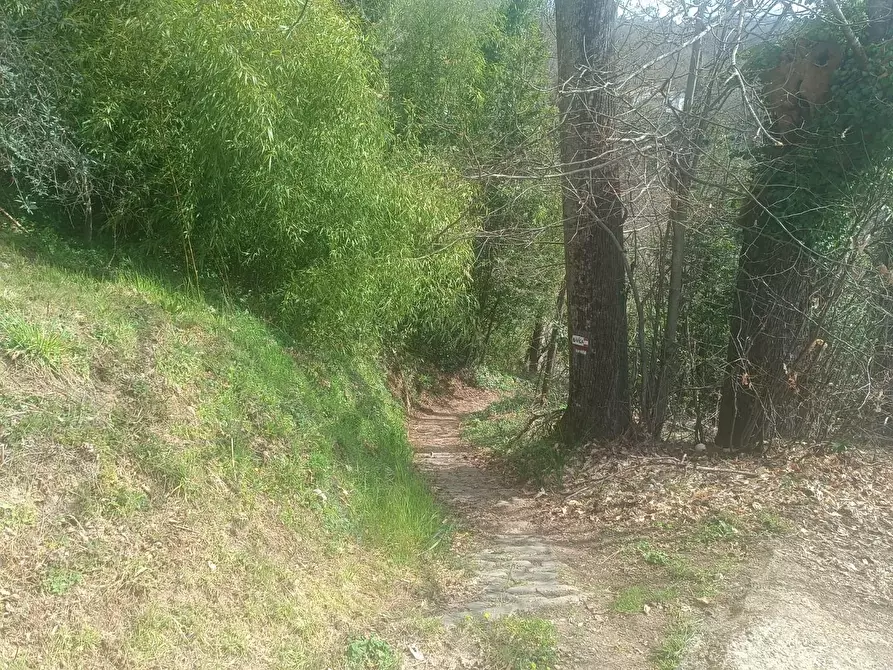 Immagine 9 di Terratetto in vendita  a Barga