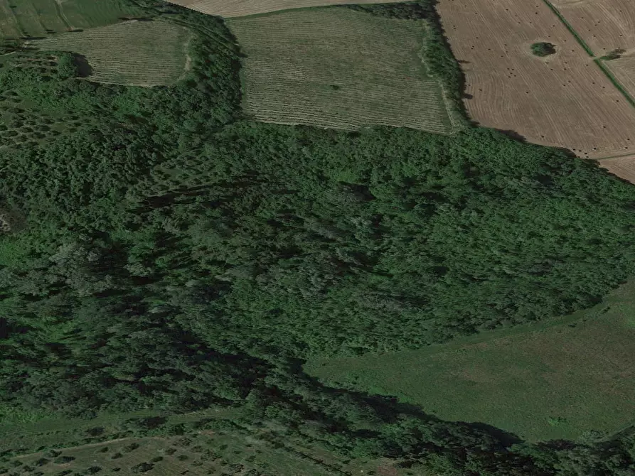 Immagine 1 di Terreno agricolo in vendita  a San Miniato