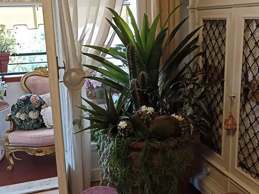 Immagine 22 di Appartamento in vendita  a Carrara