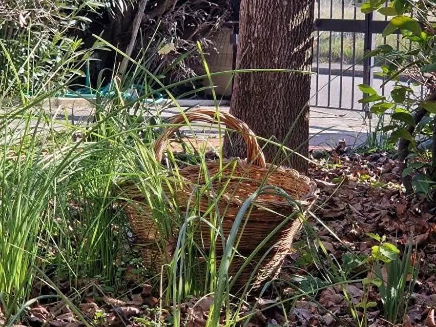 Immagine 54 di Porzione di casa in vendita  a Colle Di Val D'elsa