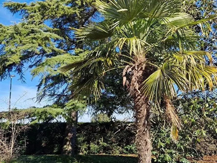 Immagine 55 di Porzione di casa in vendita  a Colle Di Val D'elsa