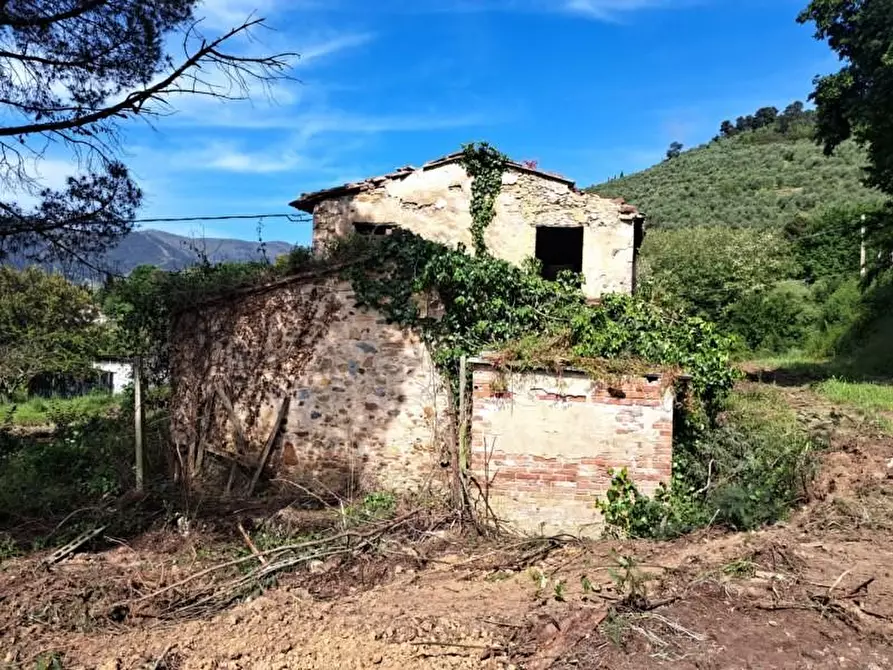 Immagine 1 di Casa colonica in vendita  a Buti